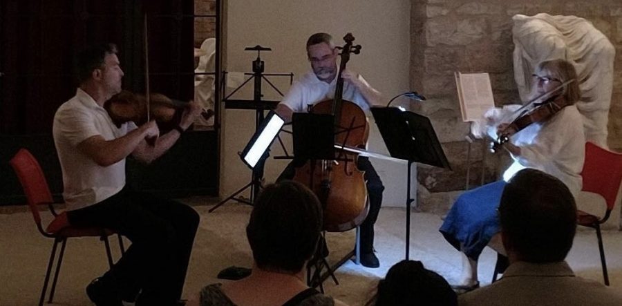 Dr. Kemptner performs with other musicians at Italian music event.