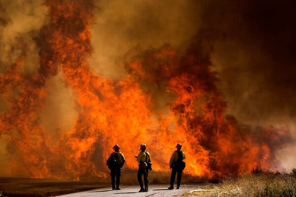 Did You Hear About the 2020 Wildfires?