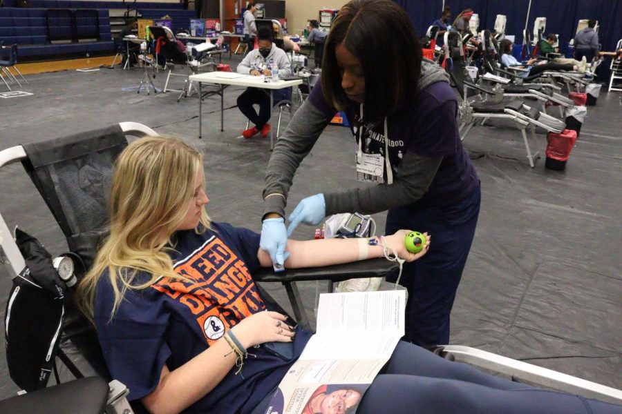 Blood Drive Frenzy