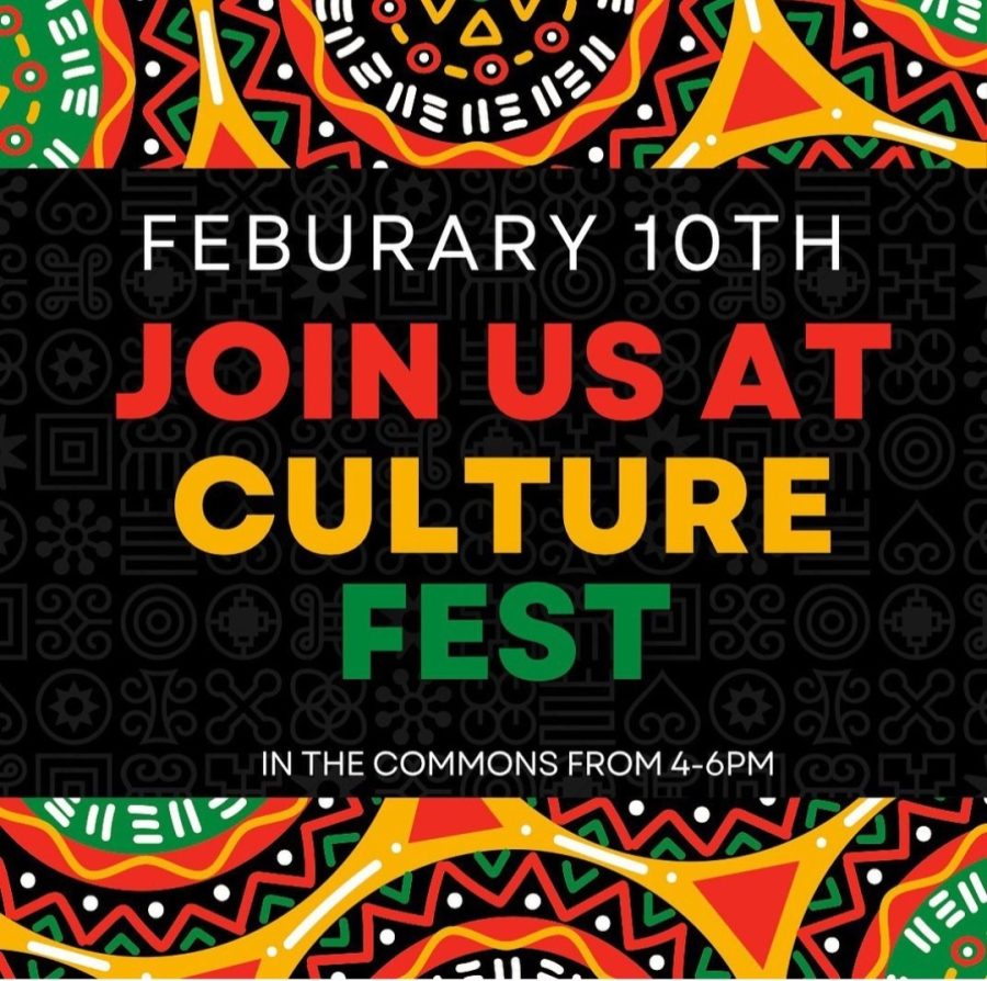 Culture Fest!